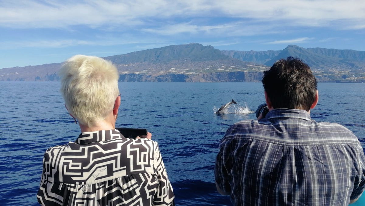 El turismo local recupera este lunes el 🛥 ocio marítimo; 🐬delfines, orcas o 🐋 ballenas nos esperan ⚓️