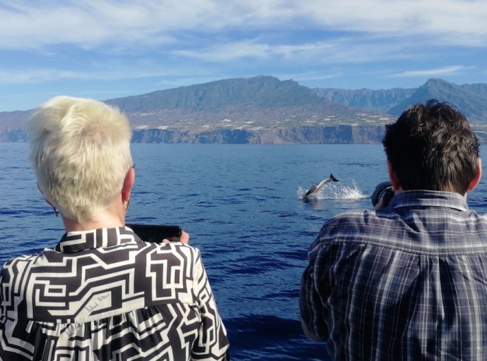 El turismo local recupera este lunes el 🛥 ocio marítimo; 🐬delfines, orcas o 🐋 ballenas nos esperan ⚓️
