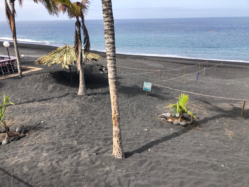 🏊‍♂️Puerto Naos y 👙Charco Verde, las 2 primeras 🏖 'playas por sectores' de La Palma 🌞