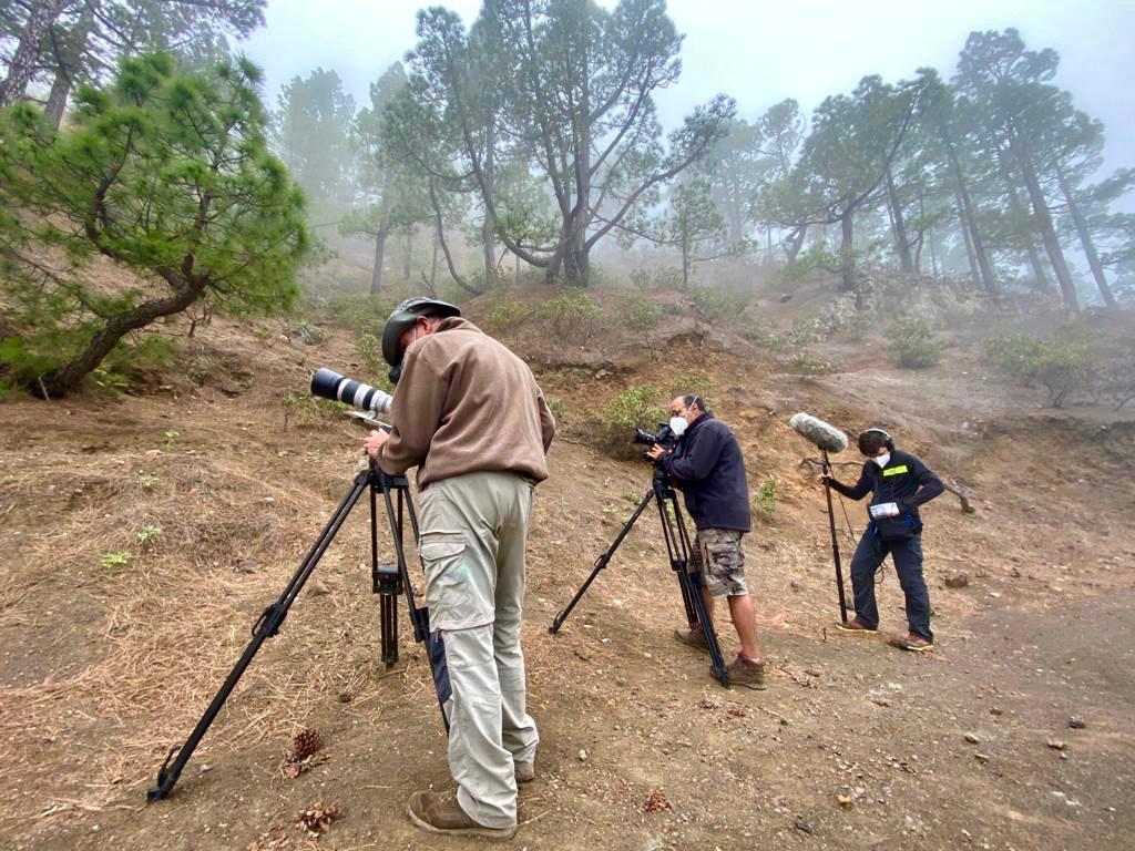 Los rodajes 🎬 vuelven a La Palma con un documental 🎥 y dos spot publicitarios 🛍