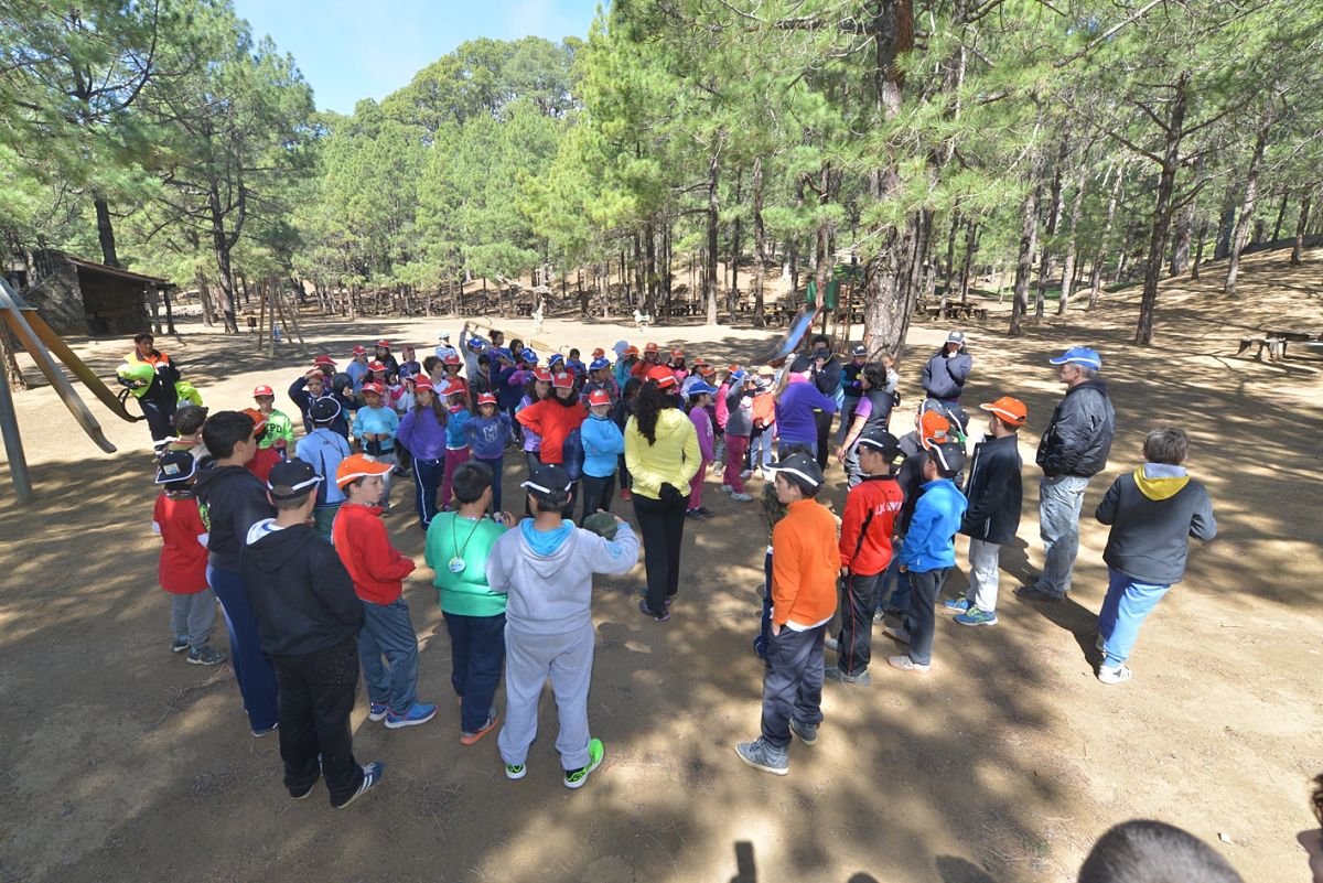 Un verano lúdico 🤸‍♂️⛹️‍♀️ para facilitar la conciliación a las familias👨‍👩‍👧‍👦  de El Paso