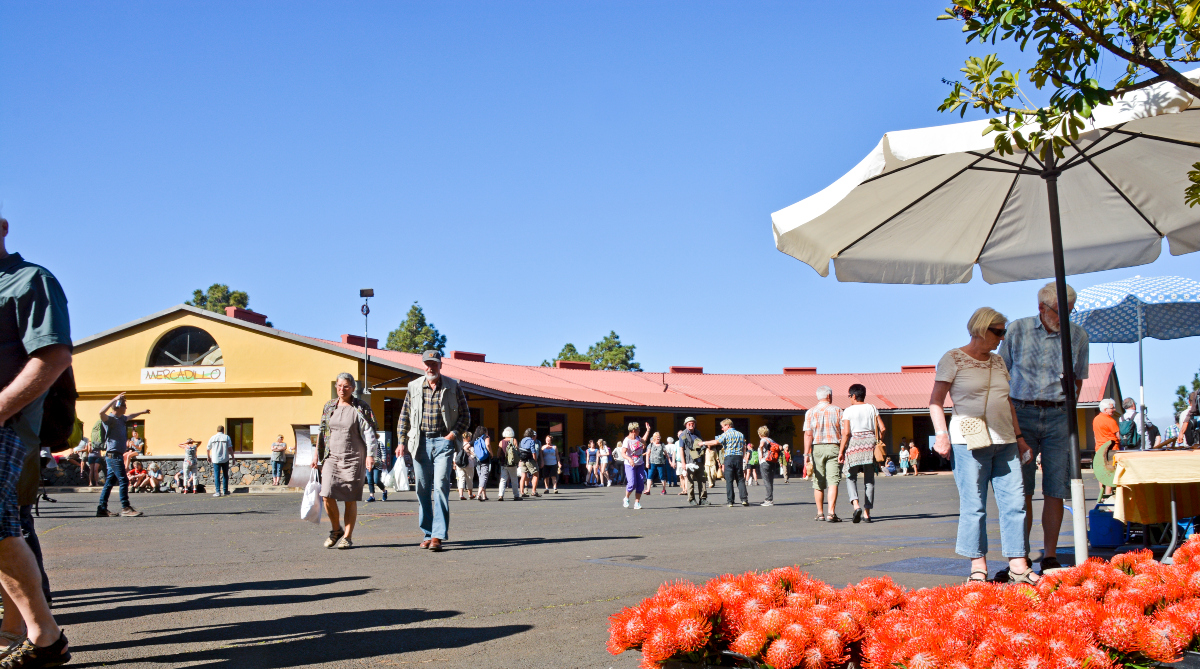 Puntagorda celebra los 18 años de vida👏👏 su Mercadillo del Agricultor🍊🥦🍅