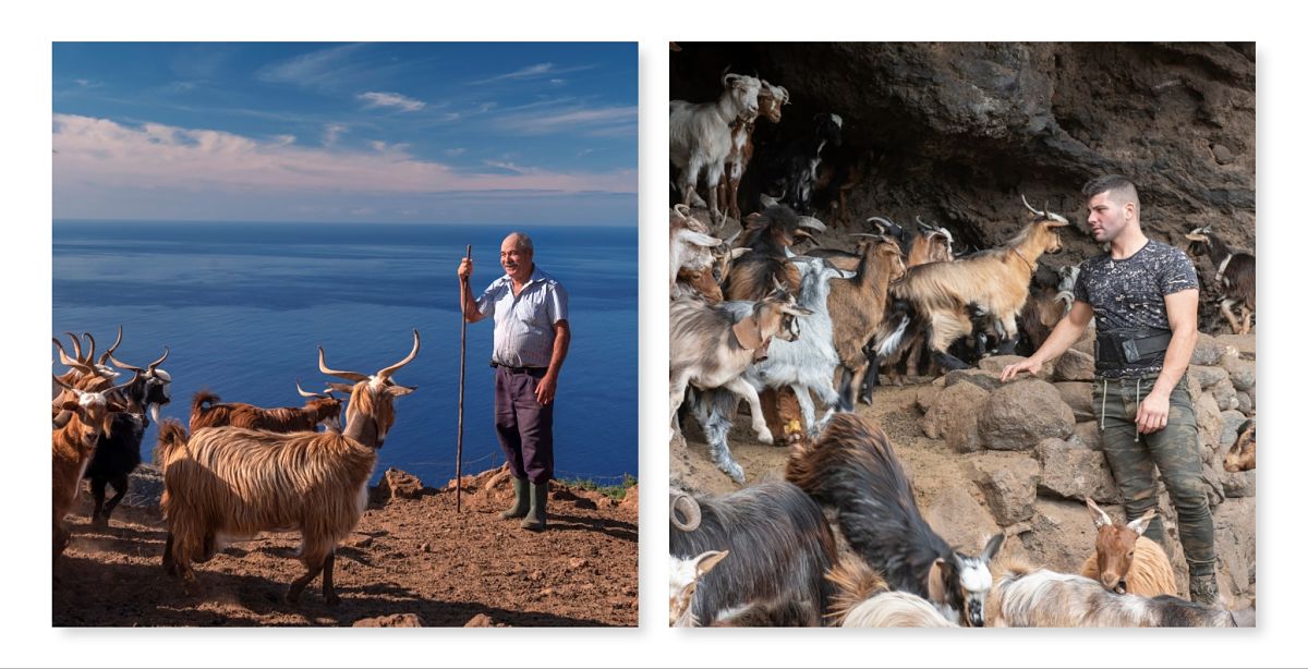 Tradición y Presente: La historia de dos vidas 👴🧑 vinculadas a la cría de Cabra Palmera🐐🐐