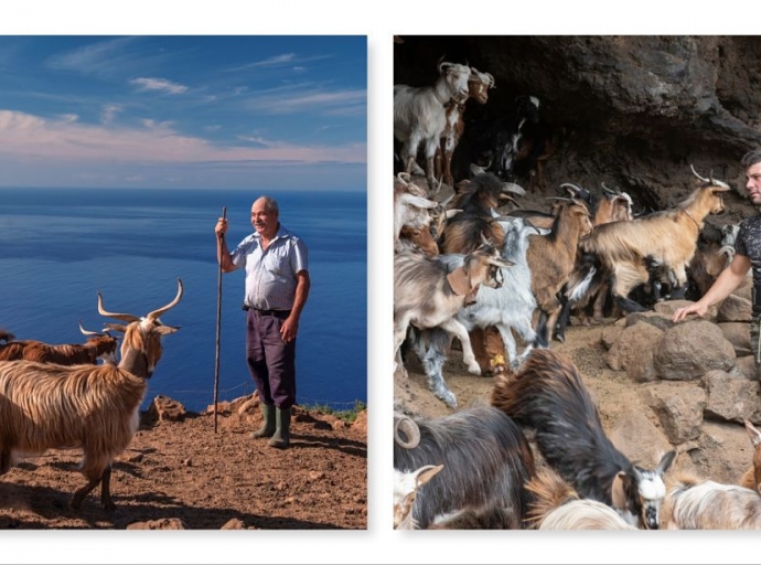 Tradición y Presente: La historia de dos vidas 👴🧑 vinculadas a la cría de Cabra Palmera🐐🐐