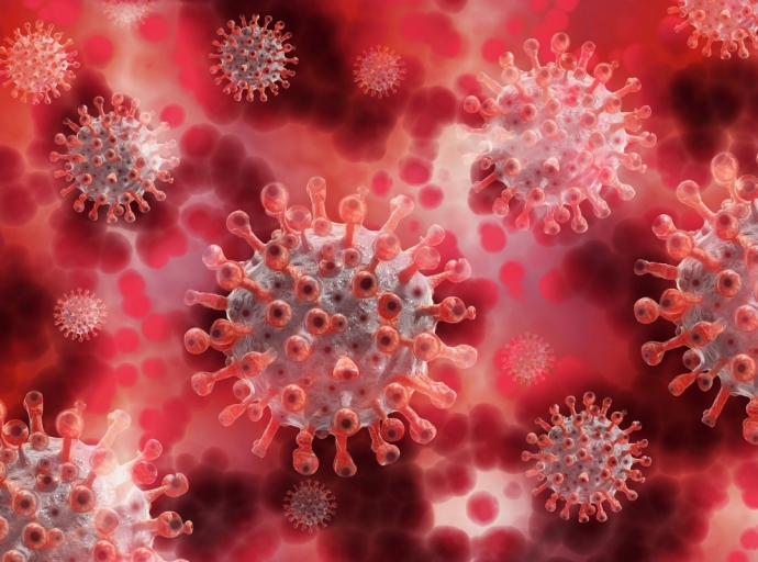 Descubren 👨‍🔬 lo que podría ser el talón de Aquiles 🦶 del coronavirus 🦠