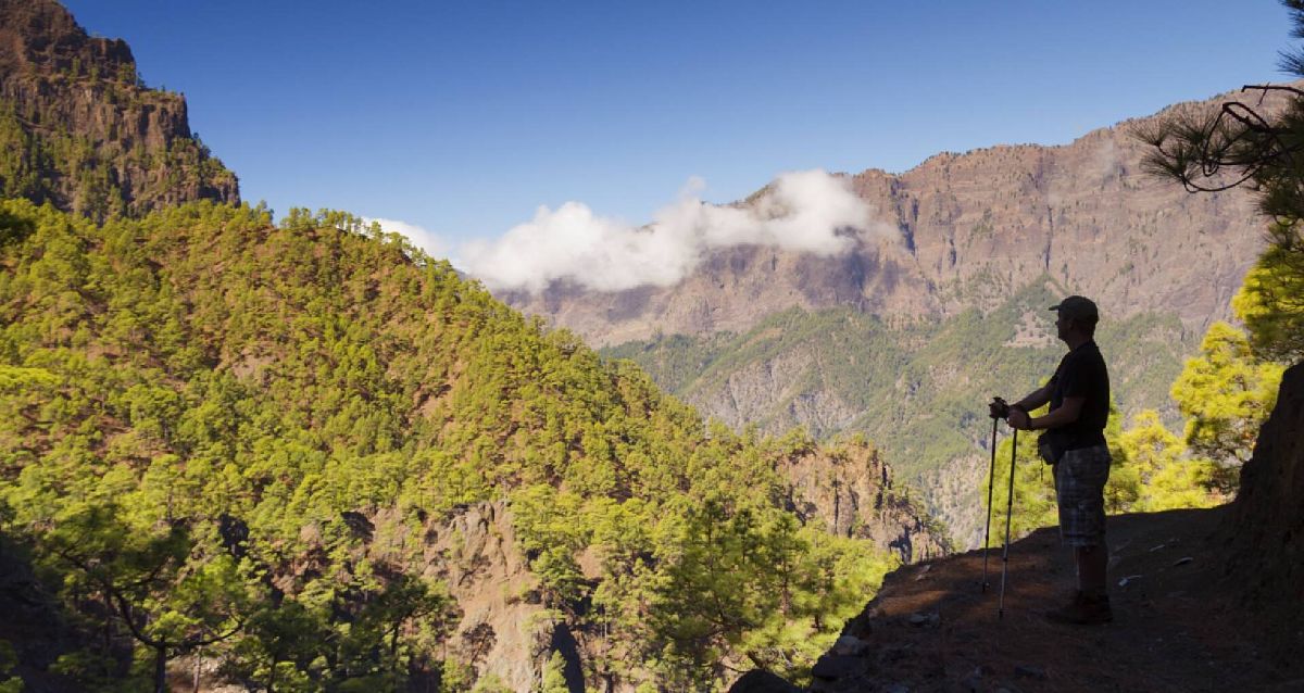 El Paso🌲 pone en valor su patrimonio natural con una 🚶‍♂️ruta por el corazón💚 de La Caldera de Taburiente