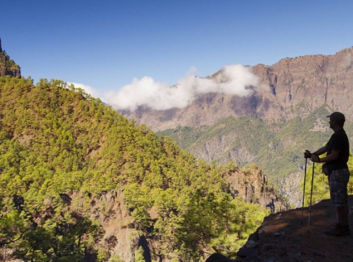 El Paso🌲 pone en valor su patrimonio natural con una 🚶‍♂️ruta por el corazón💚 de La Caldera de Taburiente