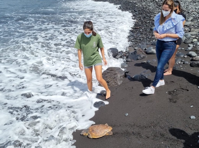 Otra 'tortuga boba' 🐢 rehabilitada y liberada en el ♻️ Centro de Fauna Silvestre de La Palma 👌