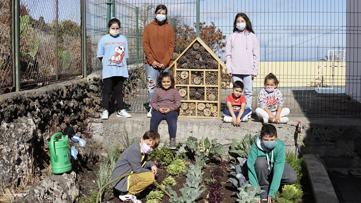  El Paso instala ‘Hoteles de Insectos’🐝🦋🦗 en los centros educativos👧👦