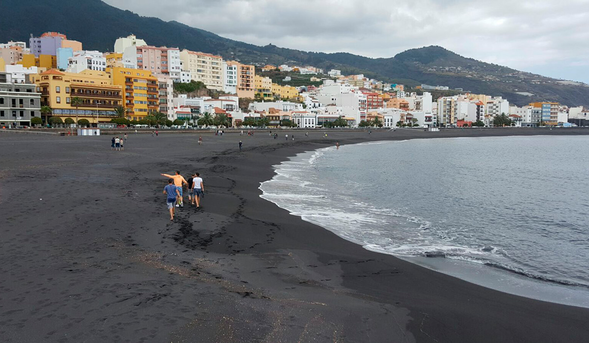 🤸‍♂️Gimnasia de Mantenimiento para mayores👴👵 en la playa capitalina