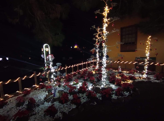🌸 Puntagorda revitaliza su creciente comercio local 🎁 en esta Navidad 🎅