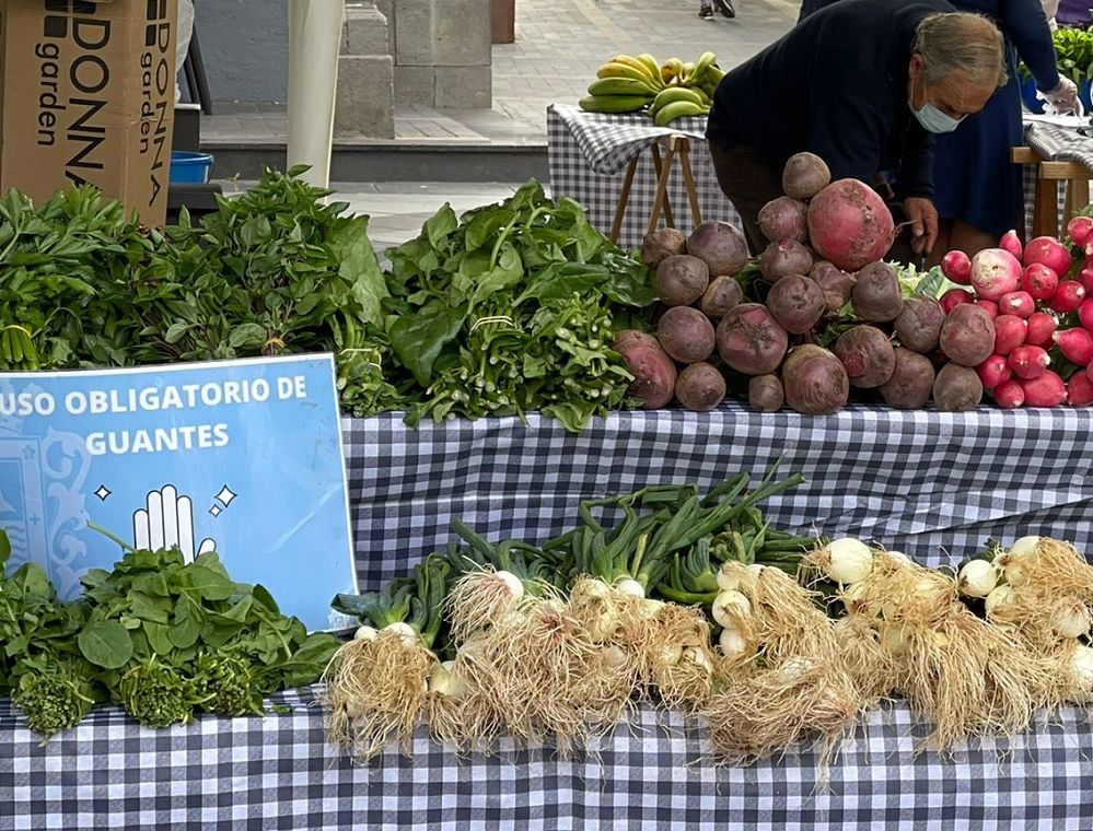 El Mercadillo🍅🍆 de Los Llanos regresa a su espacio habitual🌳 casi 2 años después