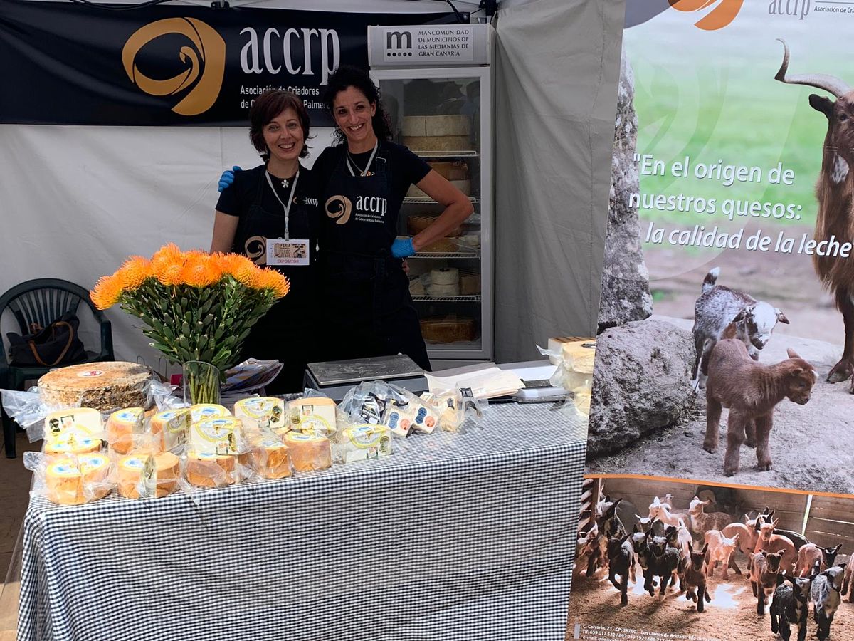 Los 🧀quesos de Cabra Palmera🐐 triunfan en la Feria Europea del Queso en Teror👏 